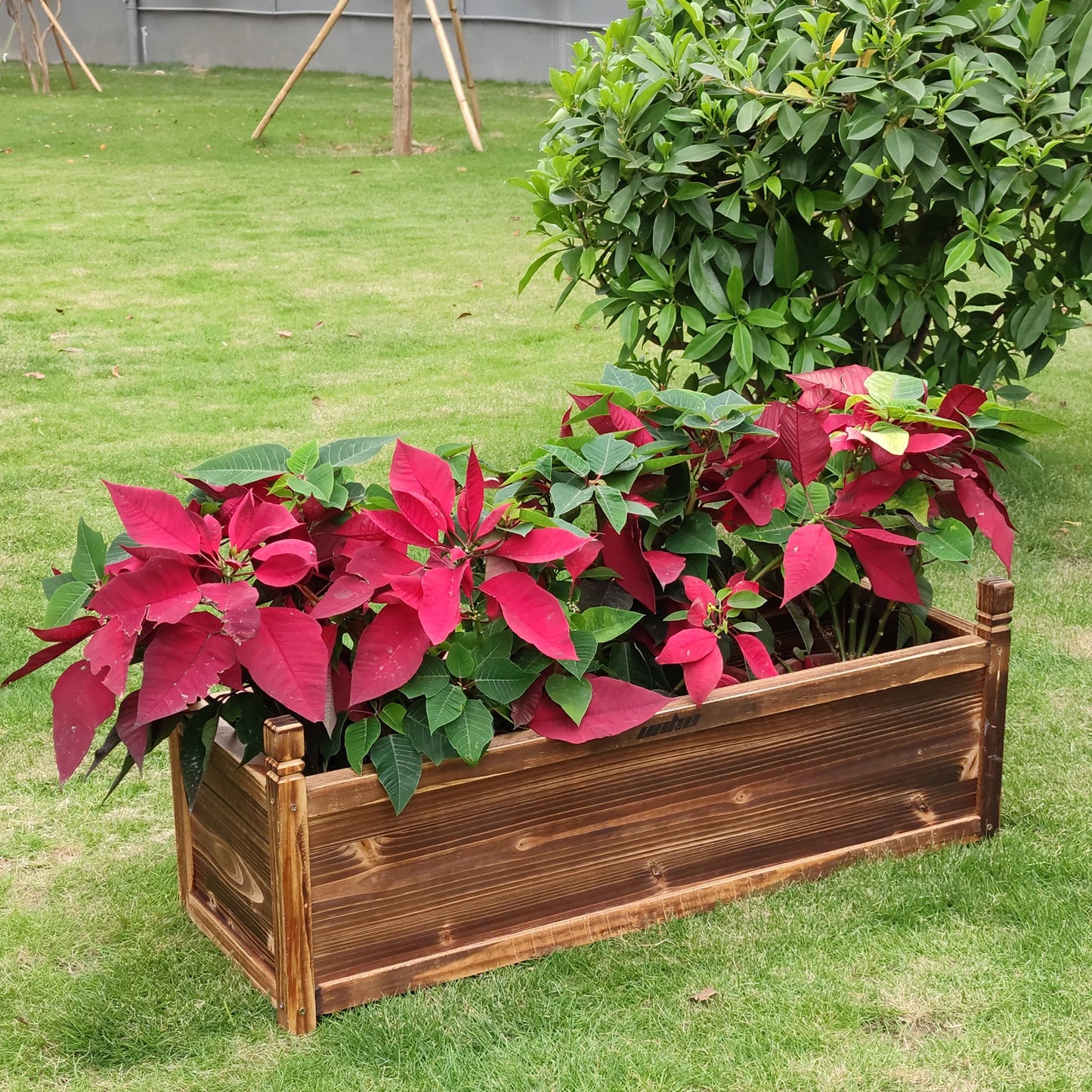 Raised Garden Bed Planter Window Mounted Wood Box For Vegetables