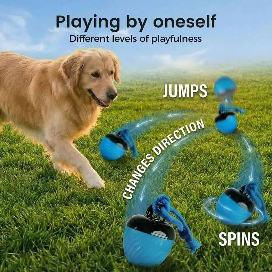 Interactive Dog Ball Toy With Rope Rolling Pet Toy
