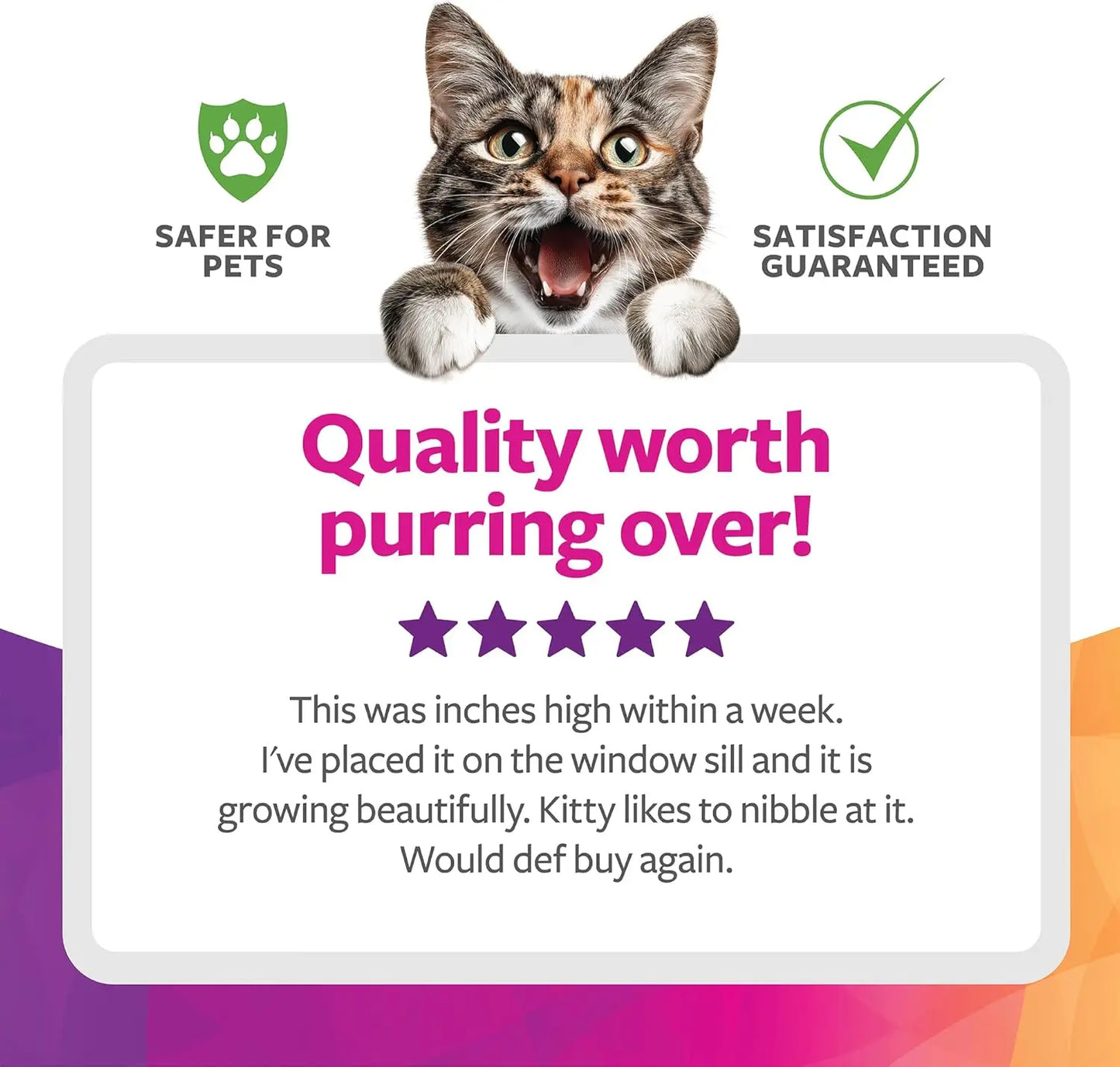 Organic Oat Grass Cat Grow Kit for Digestion Support