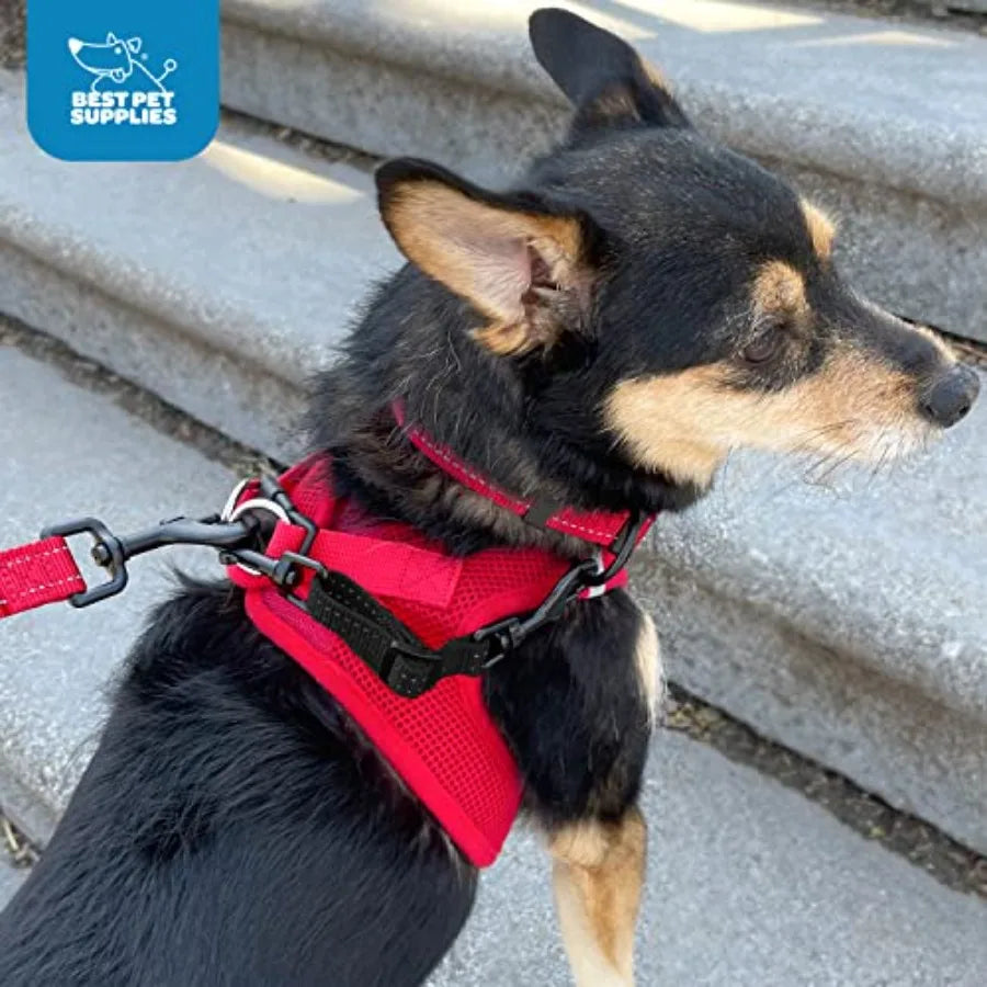 Voyager Dual Clasps Dog Collar Clip No Pull Harness Connector