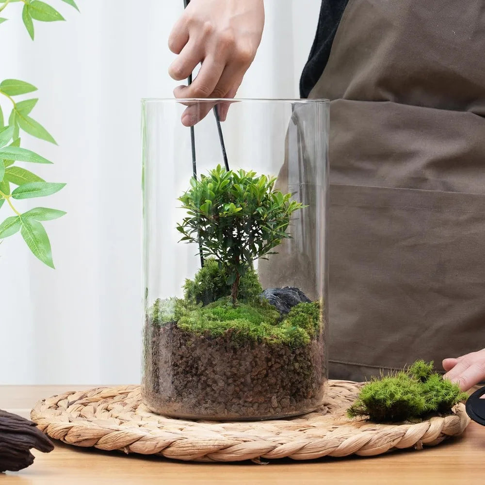 Glass Terrarium With Grow Light For Succulents Moss Betta Tank