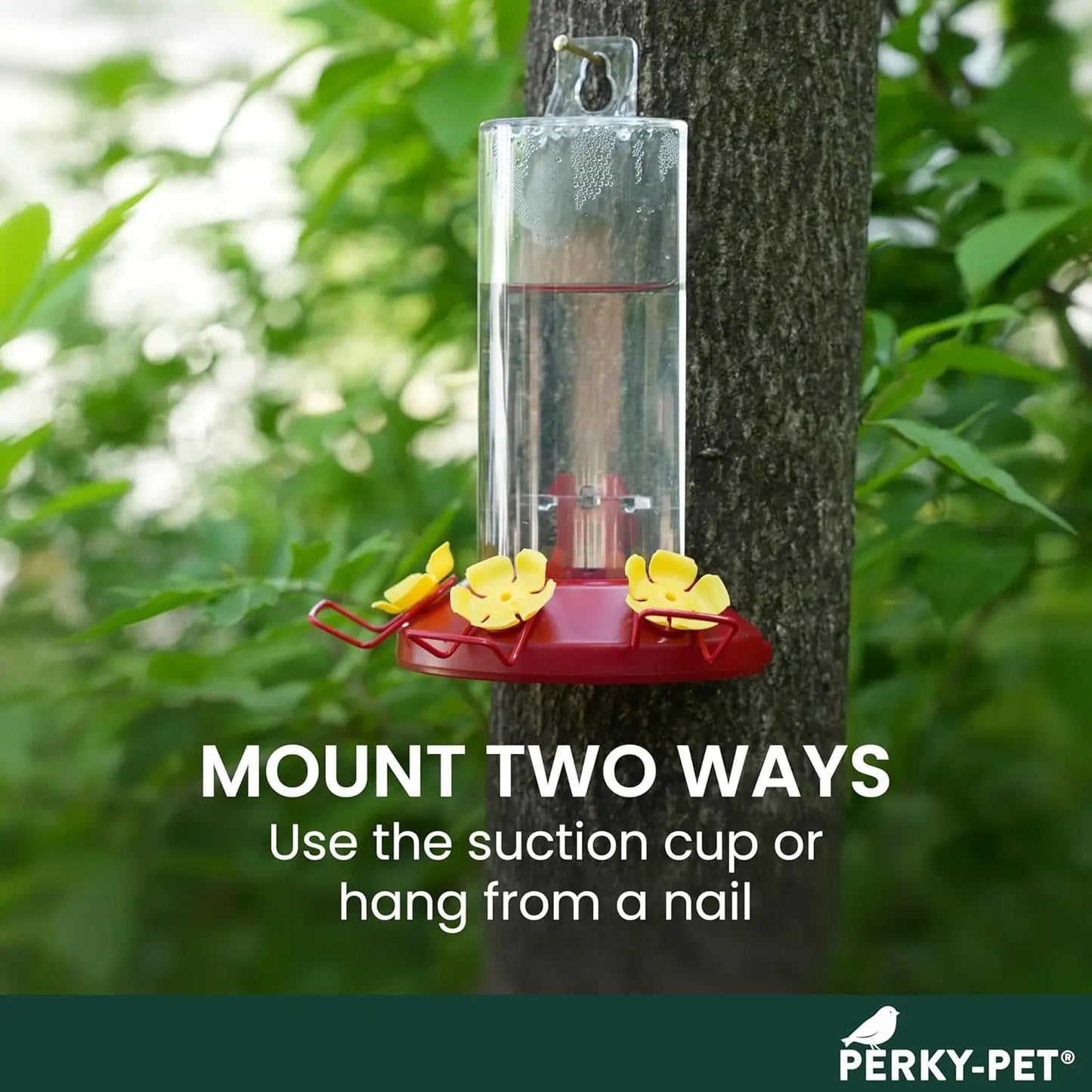 Window Mount Hummingbird Feeder - 8 oz Nectar Capacity, 3 Bee Guard Ports, Suction Cup and Removable Perches, Clear Plastic Shat
