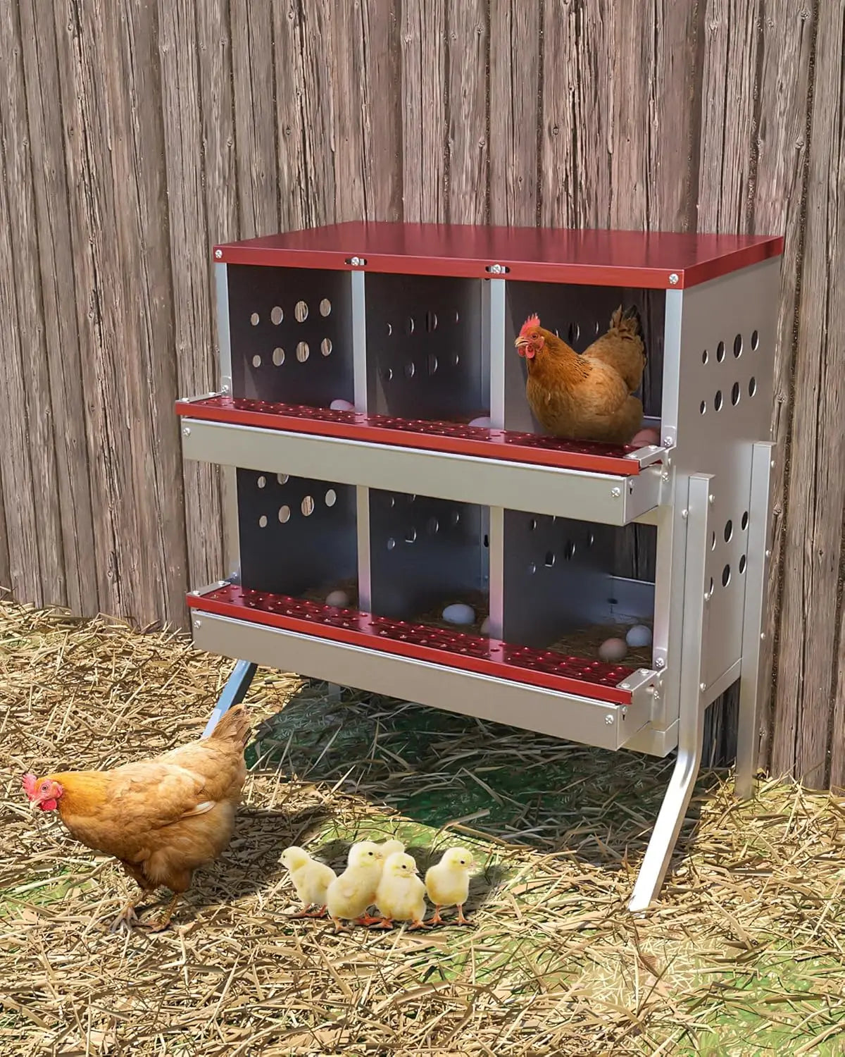 TWISTER.CK Metal Chicken Coop Nesting Box With Rollout Egg Collection
