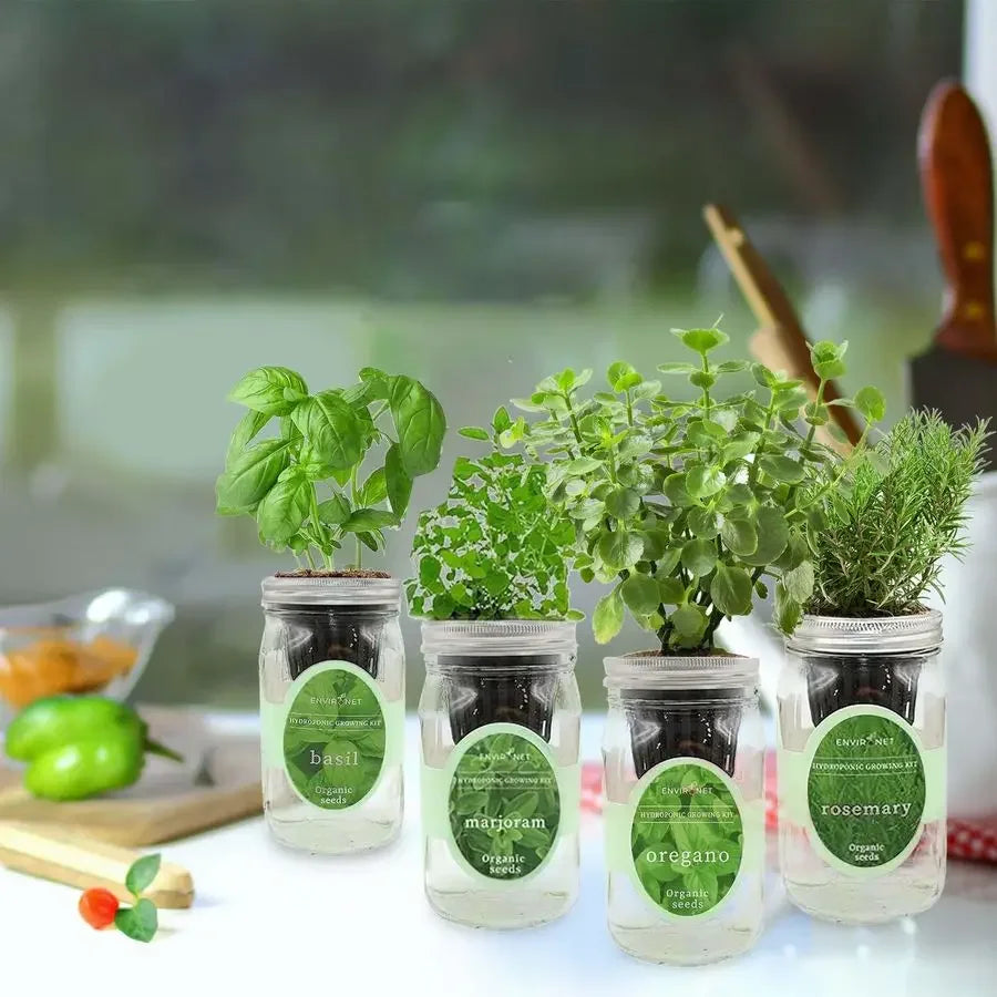 XMSJ Mason Jar Indoor Garden Seed Starter Kit Italian Basil