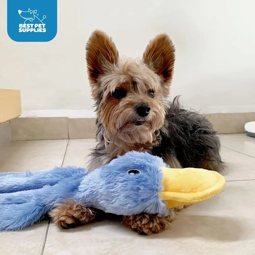 Interactive Squeaky Dog Chew Toy Crinkle Duck For All Sizes