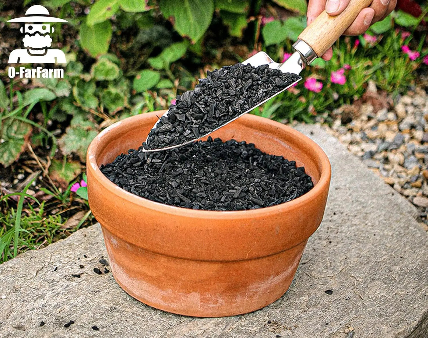 Premium Horticultural Charcoal for Potted Plants and Terrariums