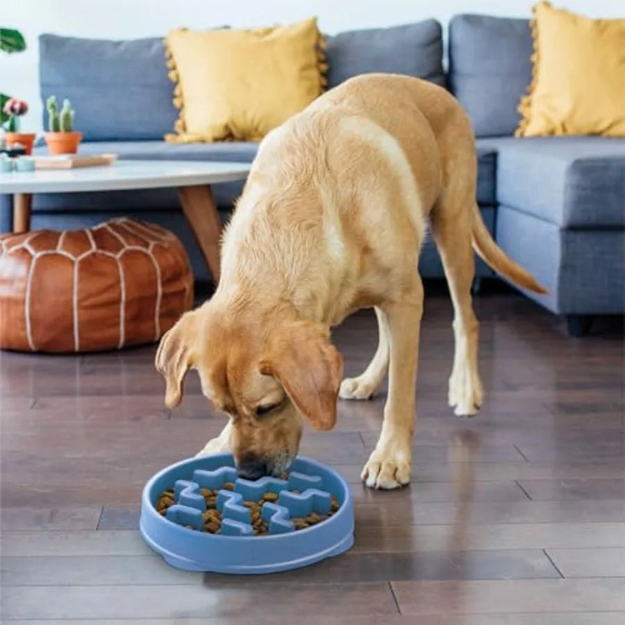 Fun Feeder Slow Bowl 4 Cup Capacity Non Slip Notch