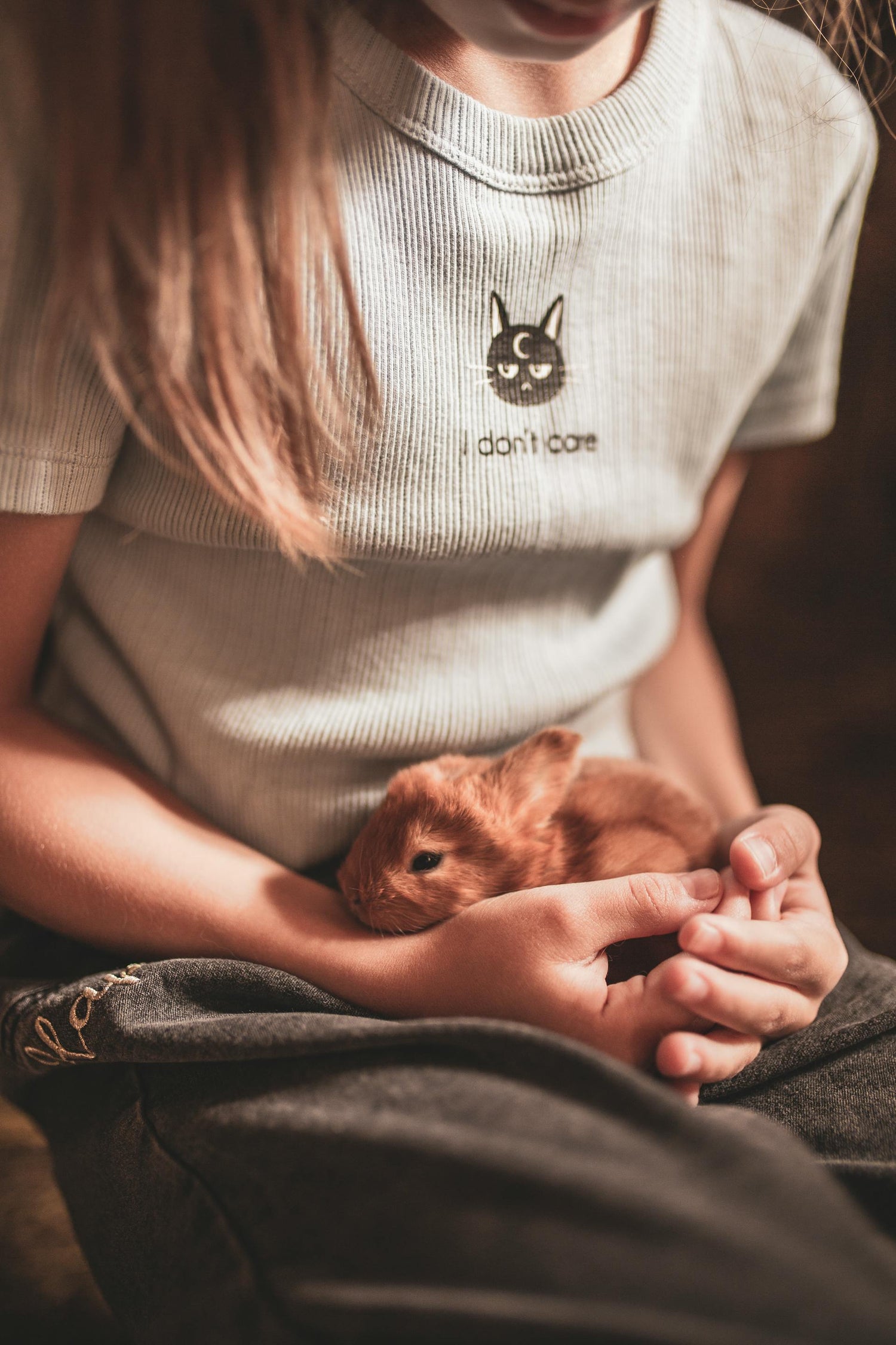 Pets