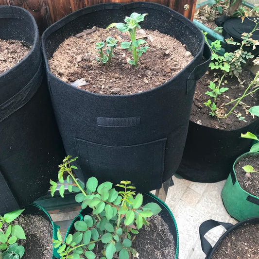 3PCS 7 Gallon Potato growing bag Planting Fabric Pots with Handle and Flap,Garden Bags for Vegetables,Tomatoes,Carrots,Onions