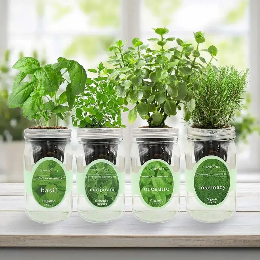 XMSJ Mason Jar Indoor Garden Seed Starter Kit Italian Basil