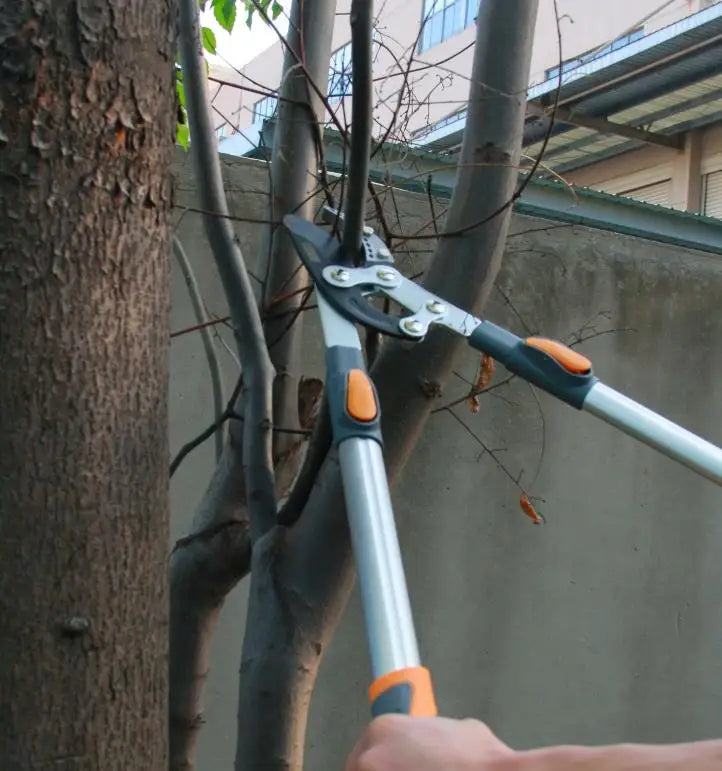 Telescopic Pruning Shears Pruning Shears Gardening Fruit Tree Shears Pruning Shears Garden Strong Pruning Shears Strong Pruning Shears