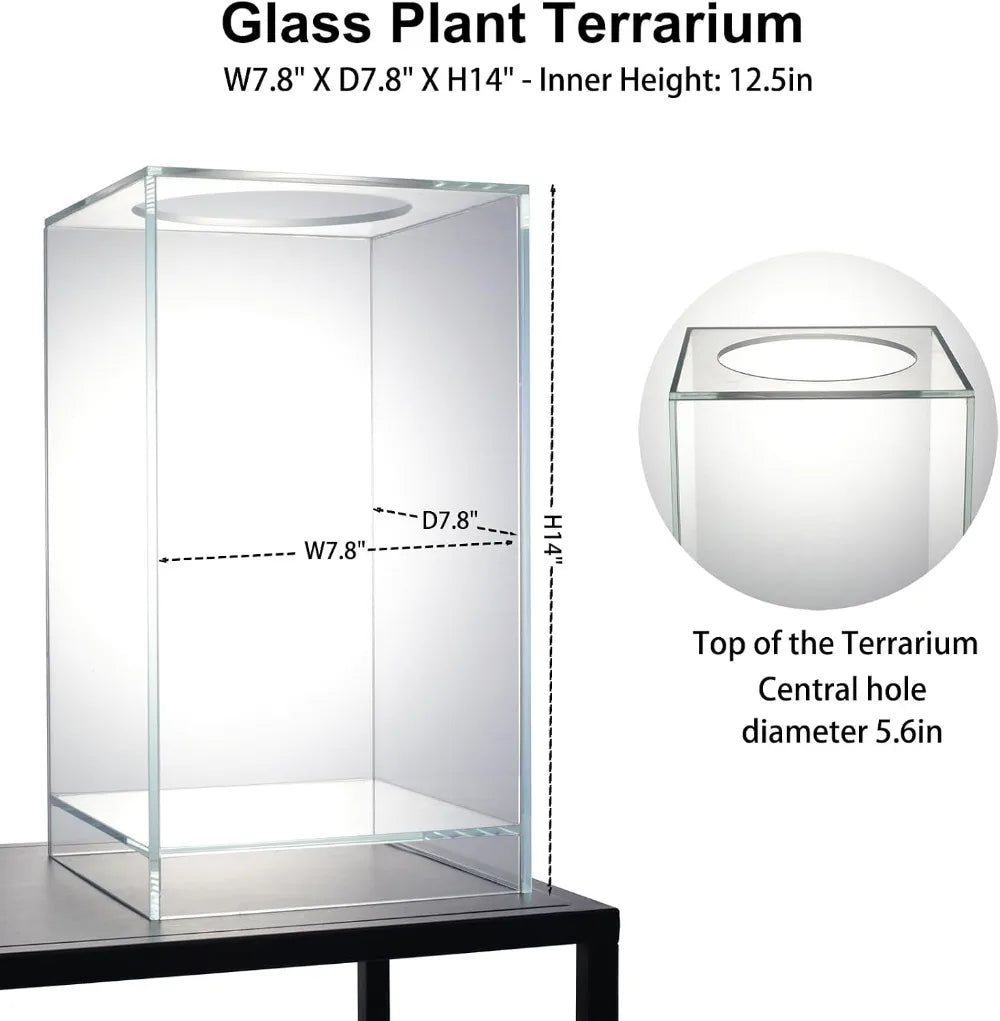 Glass Plant Terrarium with Grow Light, 7.8"L x 7.8"W x 14"H, for Succulents, Moss, Betta Fish Tank, Indoor Garden Decor