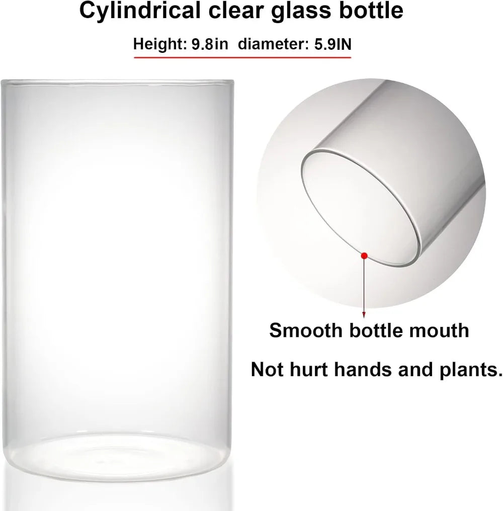 Glass Terrarium With Grow Light For Succulents Moss Betta Tank