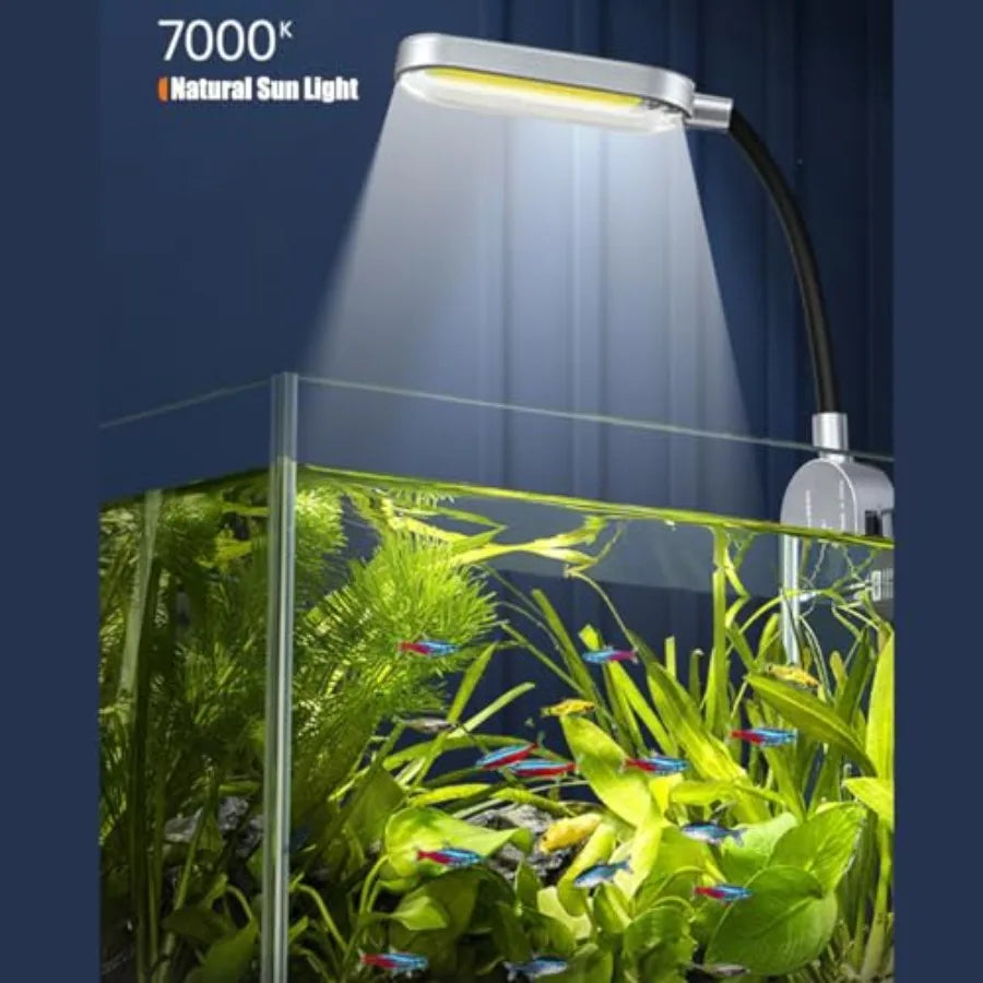 1.5 Gallon Fish Tank Starter Kits, Nano Glass Aquarium with Filter, Led Light for Aquascape DIY Small Betta Fish Tank