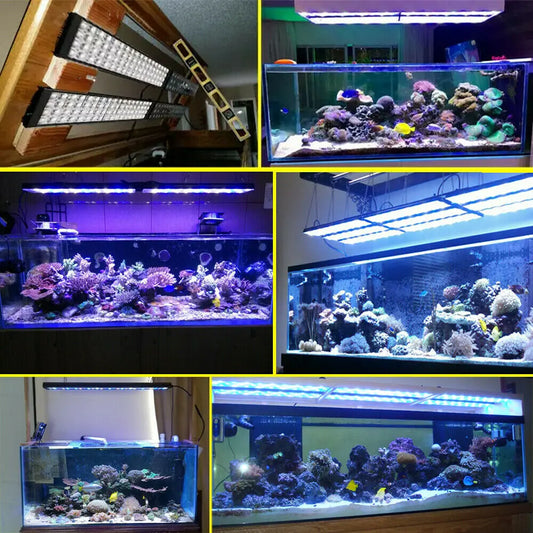 PopBloom Marine Aquarium LED Lighting Full Spectrum Reef Fixture H75