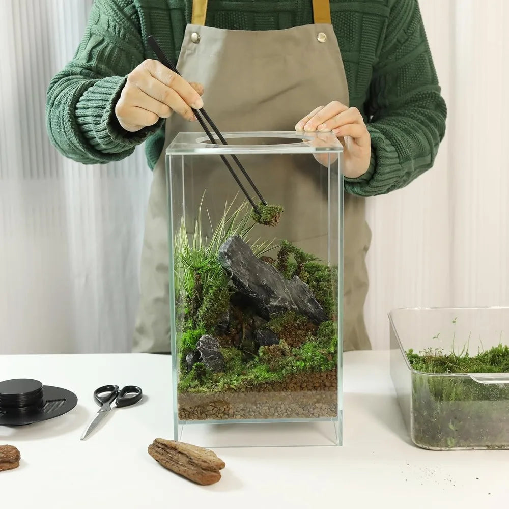 Glass Plant Terrarium with Grow Light, 7.8"L x 7.8"W x 14"H, for Succulents, Moss, Betta Fish Tank, Indoor Garden Decor
