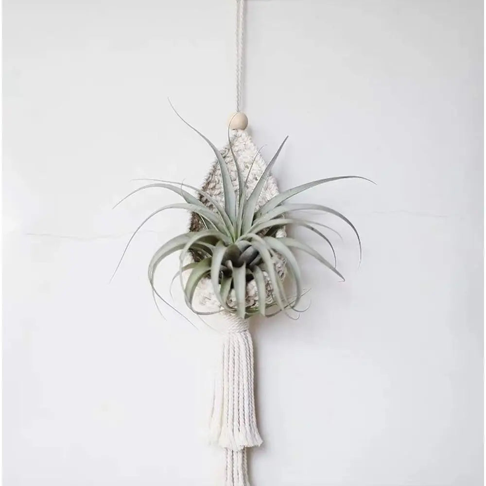 2 Pack Plant Hangers Air Plants Hanging Basket, Boho Wall Hanging or Indoor Outdoor Home Decor