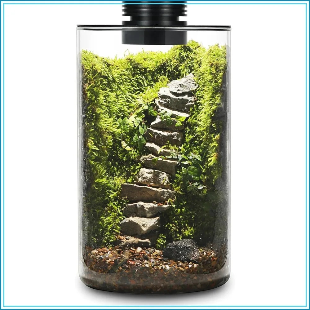 Glass Terrarium With Grow Light For Succulents Moss Betta Tank