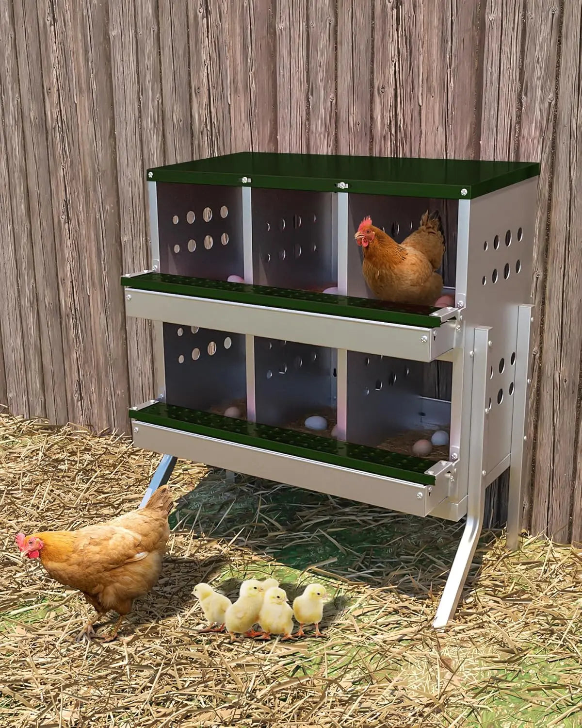 TWISTER.CK Metal Chicken Coop Nesting Box With Rollout Egg Collection