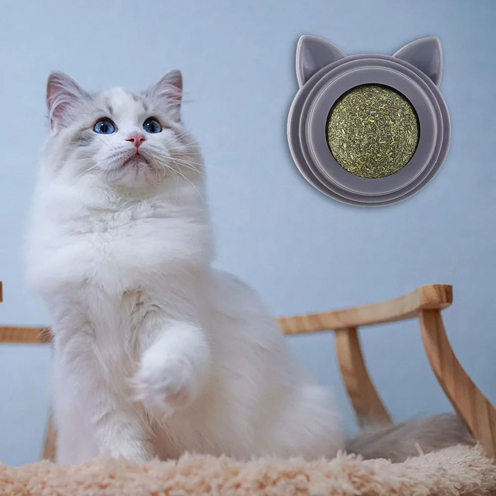 VKTECH Catnip Molar Ball Toy for Teeth Cleaning Cats