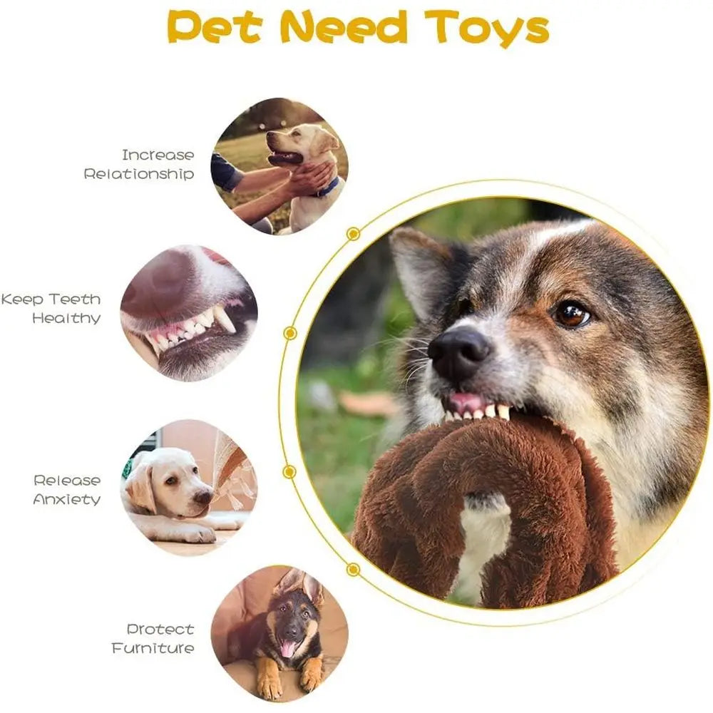 Dog Squeak Toys Plush Chew Bundle for Small Medium Breeds