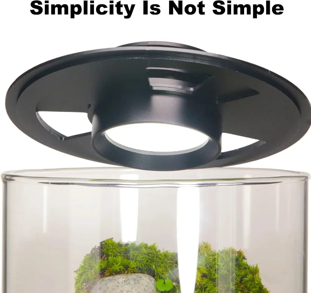 Glass Terrarium With Grow Light For Succulents Moss Betta Tank