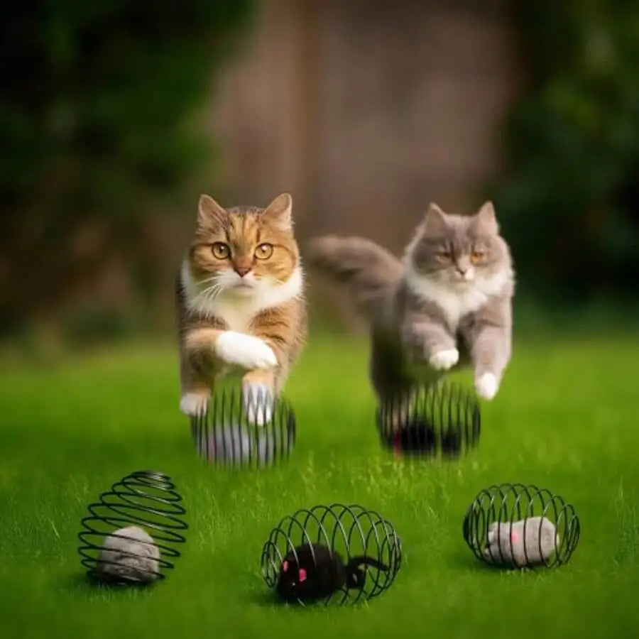 Cat Spring Toy Mice In Coiled Cage Interactive Ball Set
