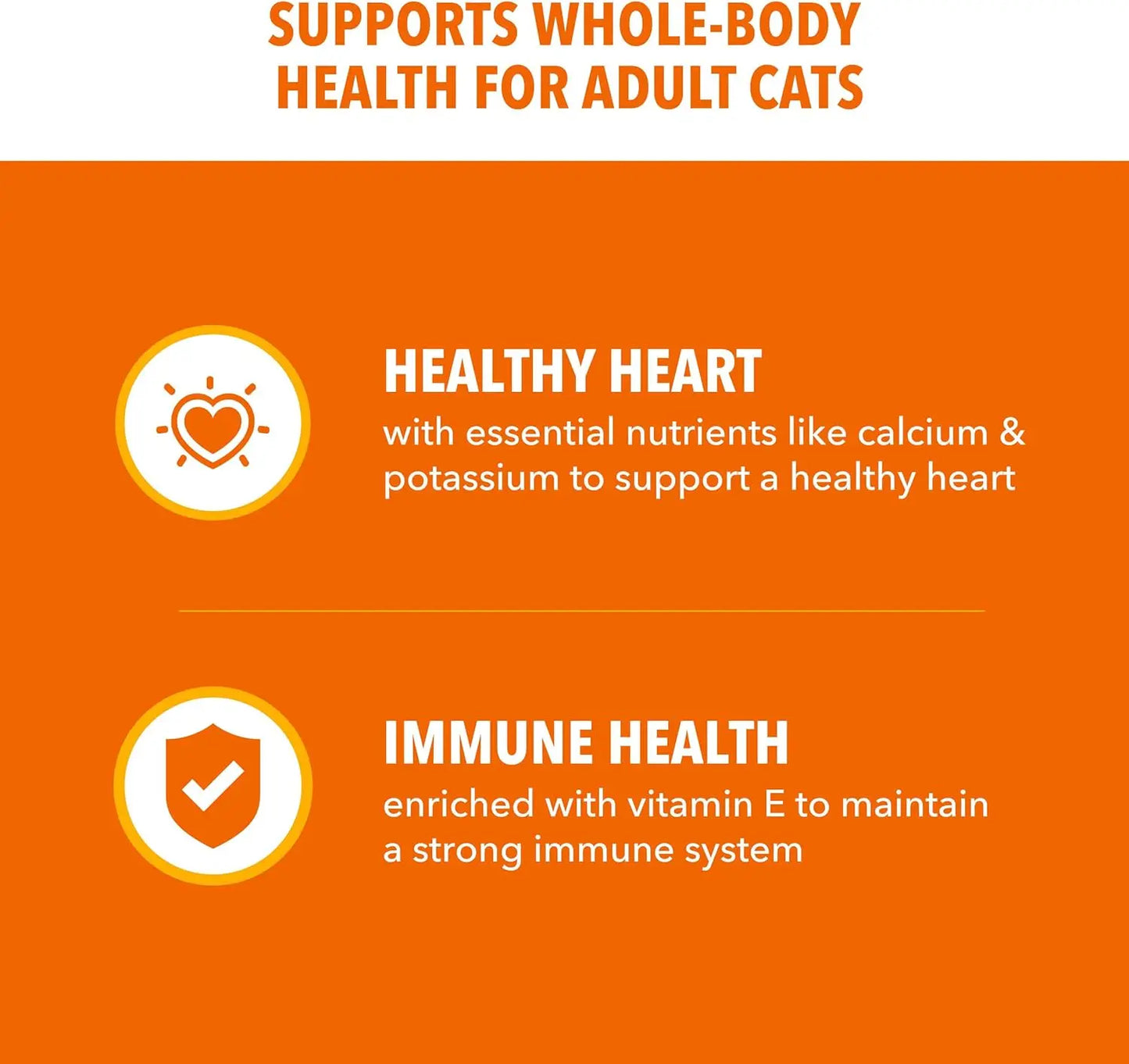 Proactive Health Dry Cat Food for Adult Cats Chicken Recipe