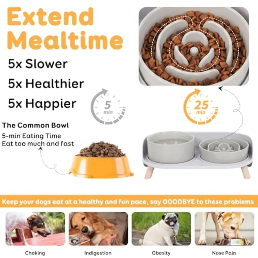 Elevated Slow Feeder Dog Bowls Plastic Food And Water With Stand