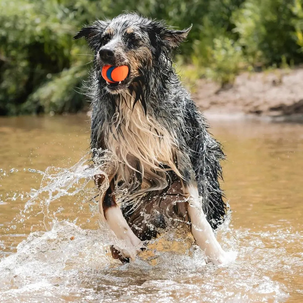 Ultra Ball Dog Toy Durable Rubber Bouncy Floats In Water