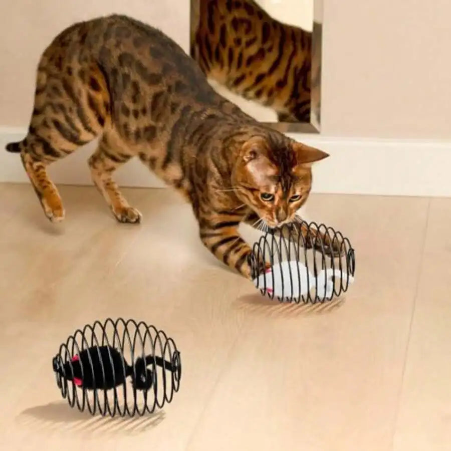 Cat Spring Toy Mice In Coiled Cage Interactive Ball Set