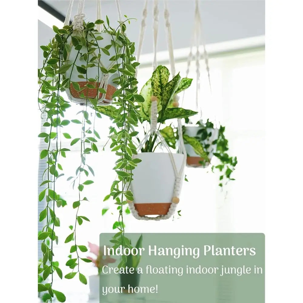 3 Sets Hanging Planters Indoor Plants Self-Watering Hanging Pots Plant Hangers Outdoor Hanging Lower Pots Drainage 3 Different S
