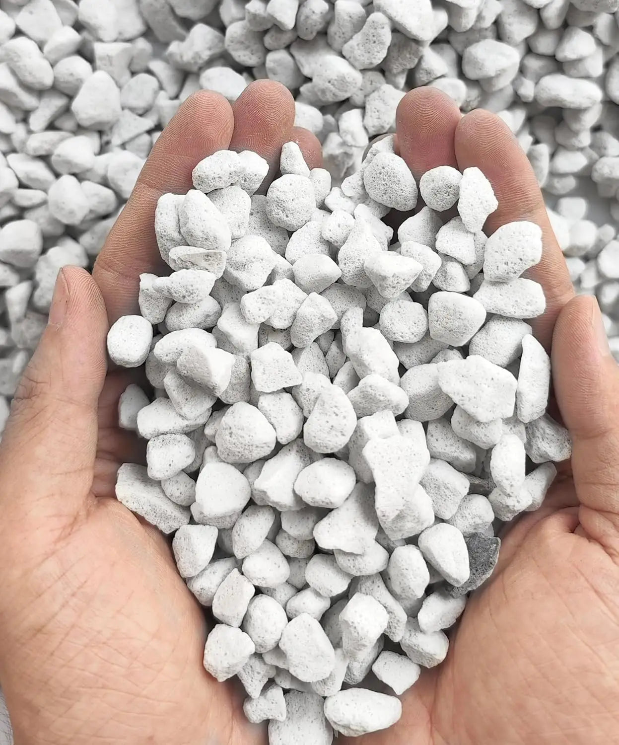 Organic Perlite Soil Amendment for Plants Enhanced Drainage and Growth