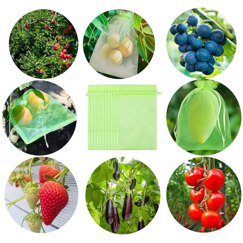 Fruit Protection Bags Mesh BirdGuard For Strawberries And Grapes