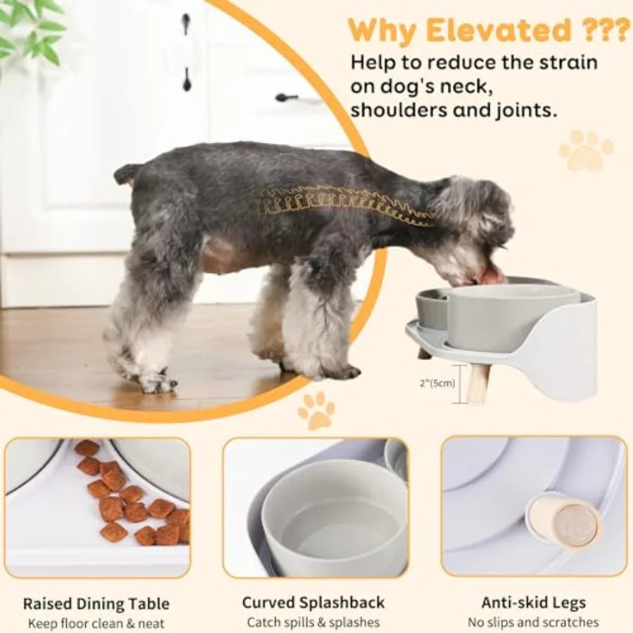 Elevated Slow Feeder Dog Bowls Plastic Food And Water With Stand