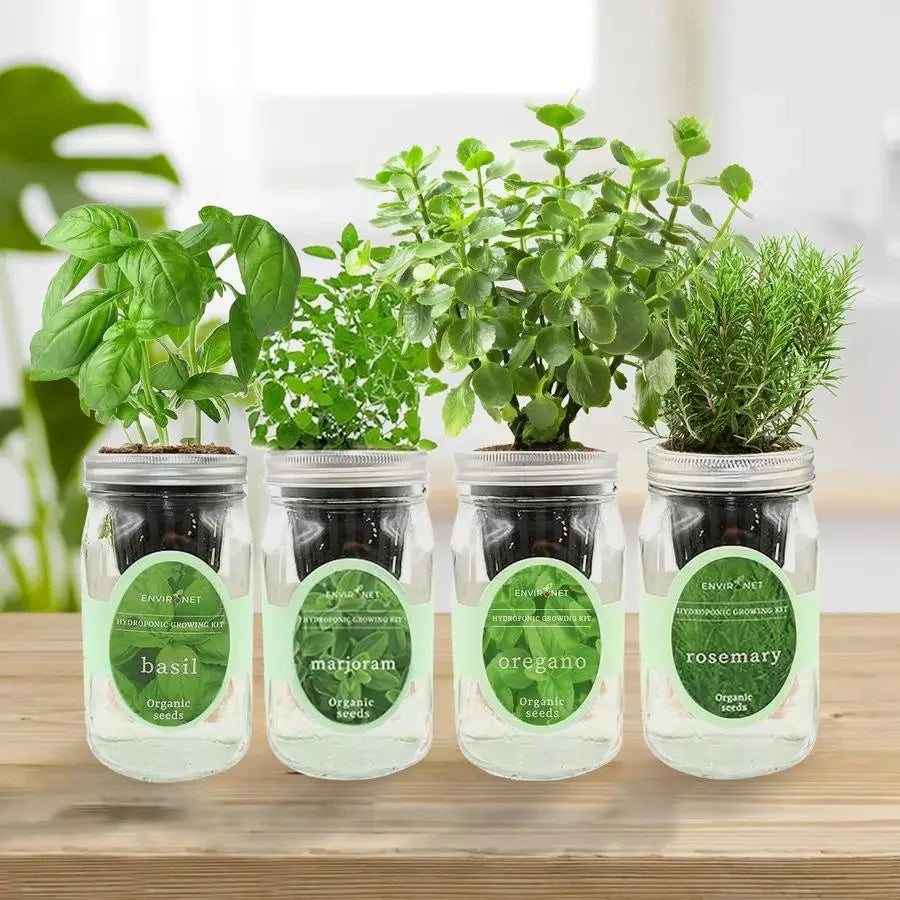 XMSJ Mason Jar Indoor Garden Seed Starter Kit Italian Basil