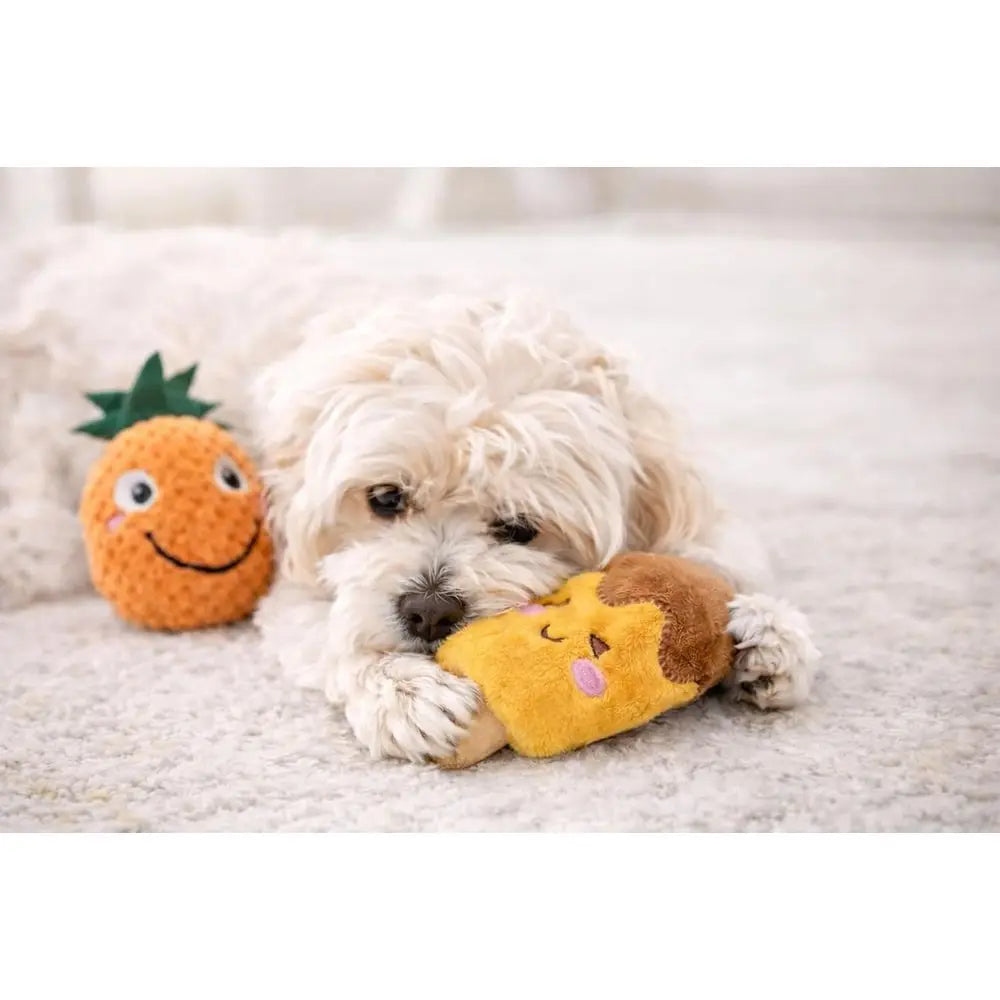 18 Pack Dog Squeaky Plush Toys For Small Medium Dogs