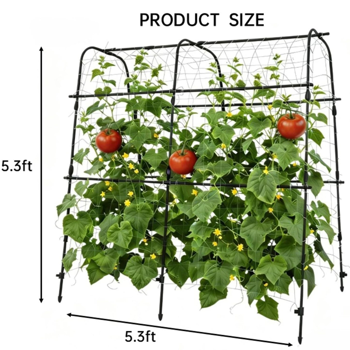 HiMISS Metal Garden Arch Trellis For Climbing Plants Support