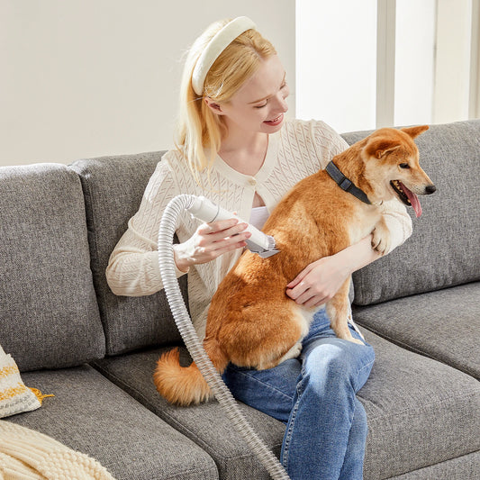 Pet Grooming Vacuum Kit With Cordless Clipper And Tools