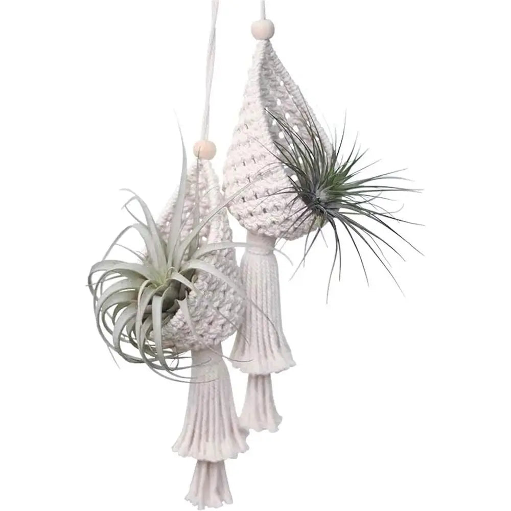 2 Pack Plant Hangers Air Plants Hanging Basket, Boho Wall Hanging or Indoor Outdoor Home Decor