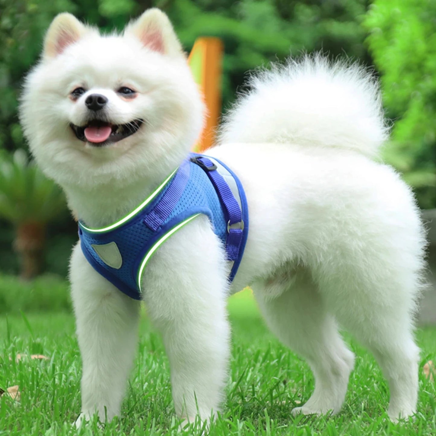 Pet Dog Cat Harness with Adjustable Leash Reflective Safety Mesh Chest Strap Collar  Small Medium Dogs Vest Set XS/S/M/L/XL