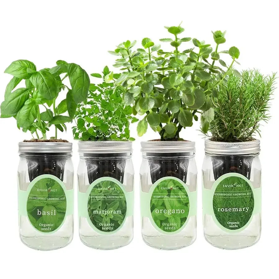 XMSJ Mason Jar Indoor Garden Seed Starter Kit Italian Basil
