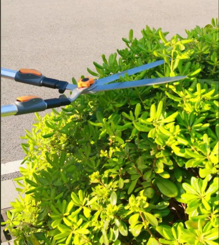 44Inch Extendable Shrub Shears, 31 Inch Shrub Shears, Heavy-Duty Garden Pruning Shears - High Carbon Steel, Ergonomic Handles for Lawn, Hedge & Branch Trimming, Pruning Shears for Gardening