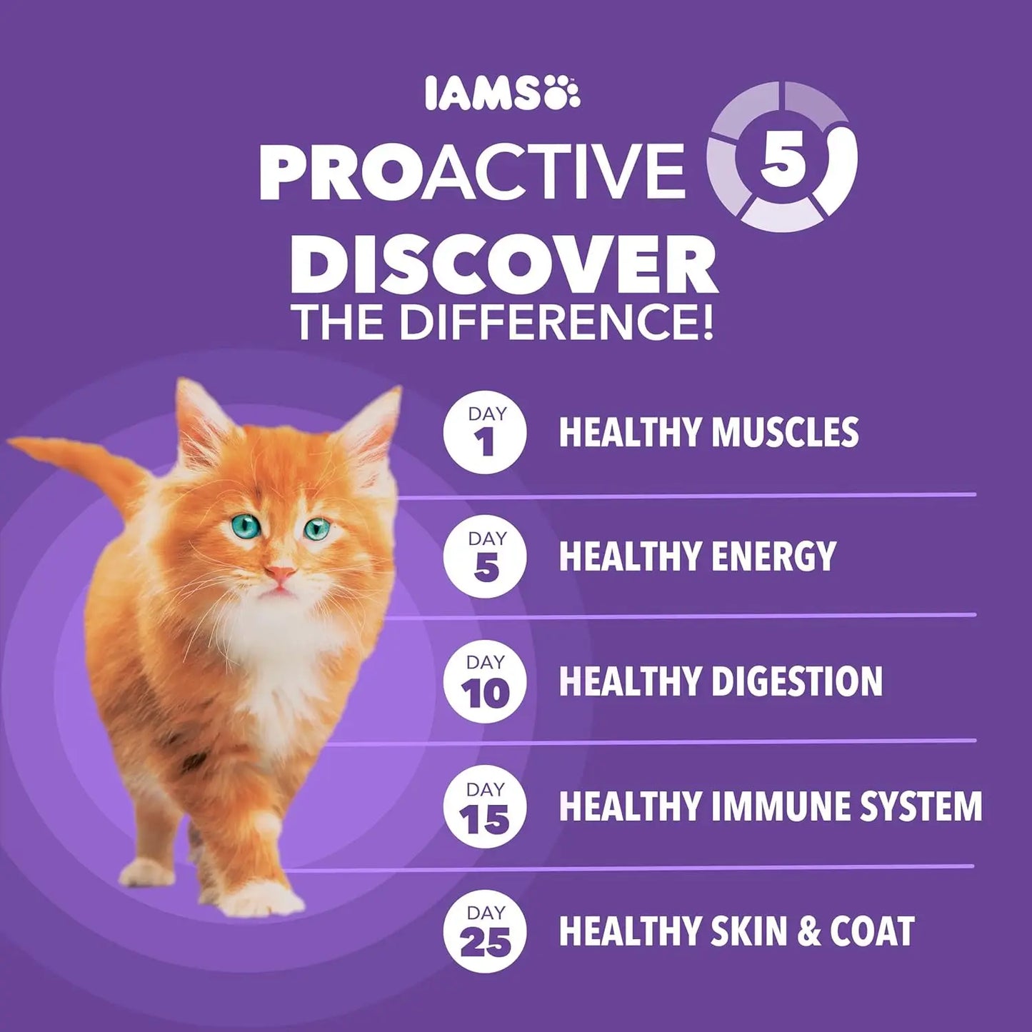 Healthy Kitten Dry Cat Food With Real Chicken For Kittens