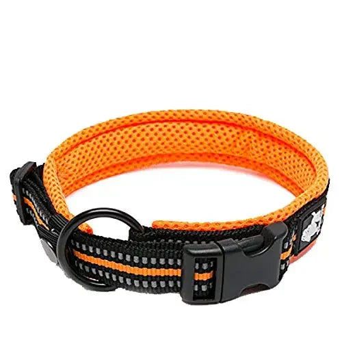 TRUELOVE Padded Nylon Dog Collar Reflective Adjustable Training