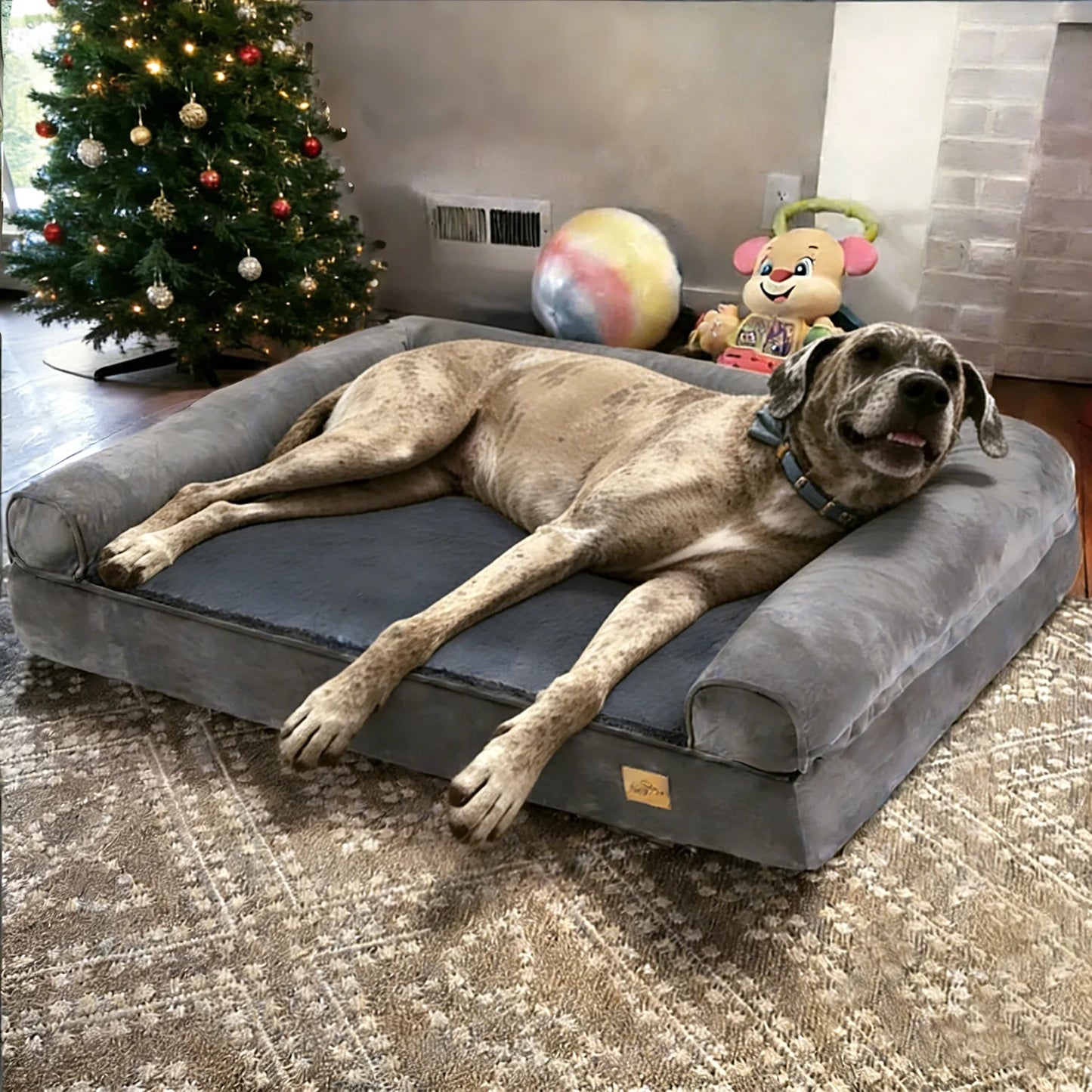 BORWART Calming Orthopedic Memory Foam Dog Bed With Removable Cover
