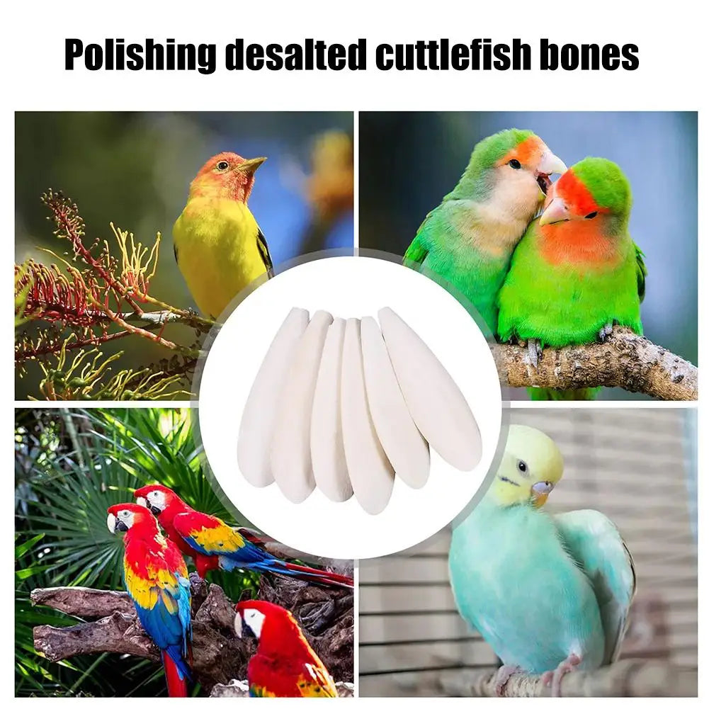 Funny Bird Cuttlebone Cuddle Bone Creative Natural Cuddle Bone Parrot Chewing Toys for Parrot Nutritional Supplement