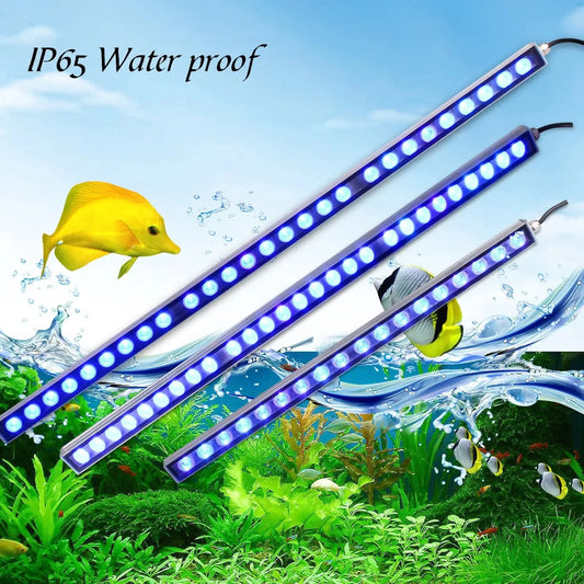 Populargrow 54W/81W/108W Aquarium Light with 470nm Blue Spectrum Leds Strip Light Beautiful Your Coral Reef Fish Tank Lamp