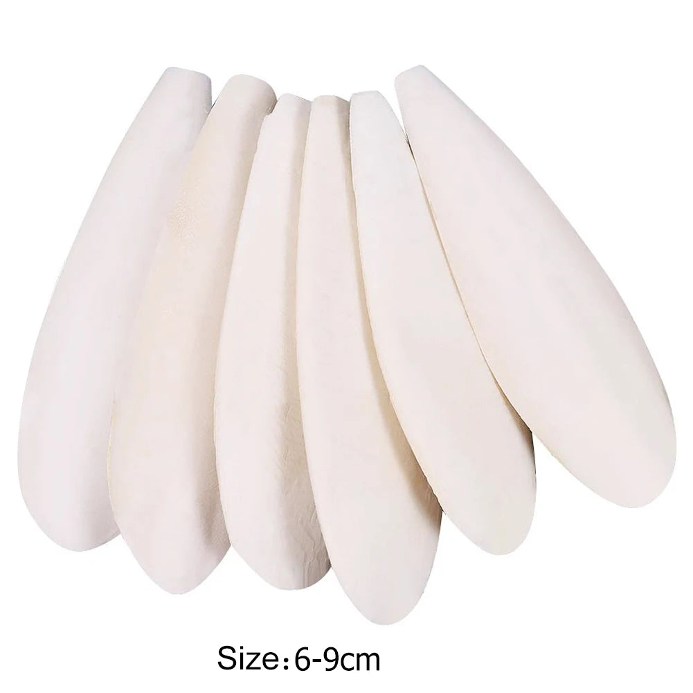 Funny Bird Cuttlebone Cuddle Bone Creative Natural Cuddle Bone Parrot Chewing Toys for Parrot Nutritional Supplement