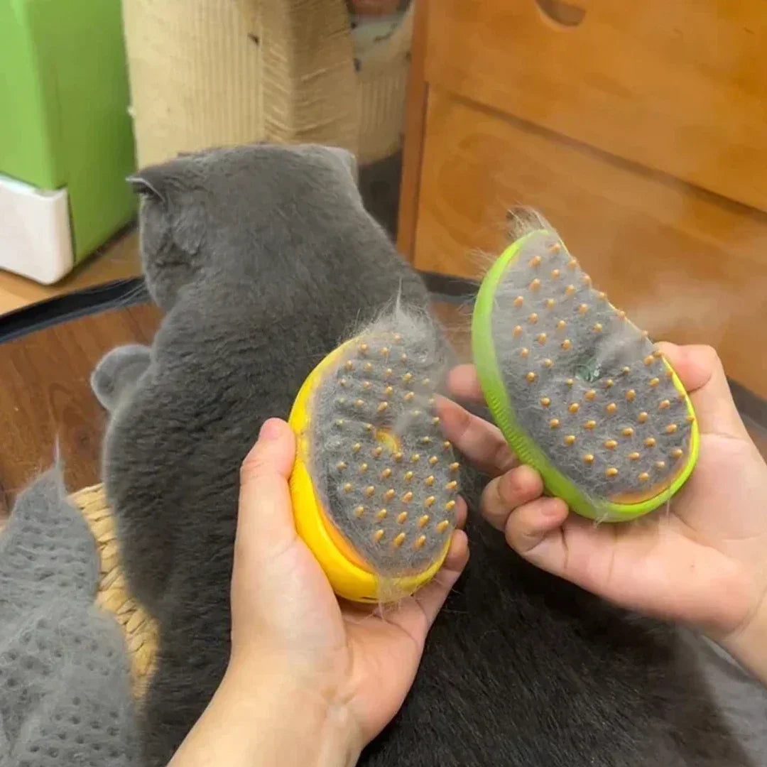 Cat Dog Steam Brush 3 In 1 Electric Massage Grooming